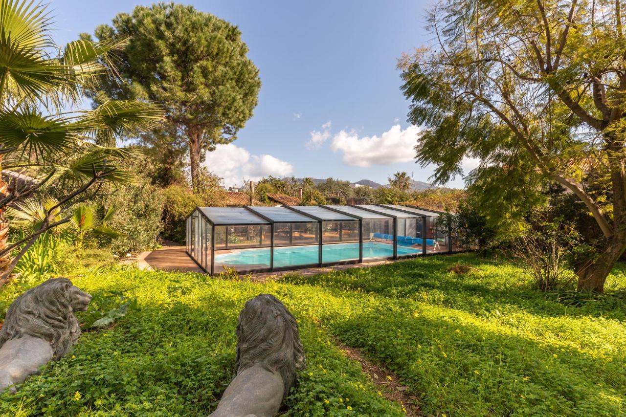 Il Giardino Di Michela By Domusicily Villa Mondello Eksteriør bilde