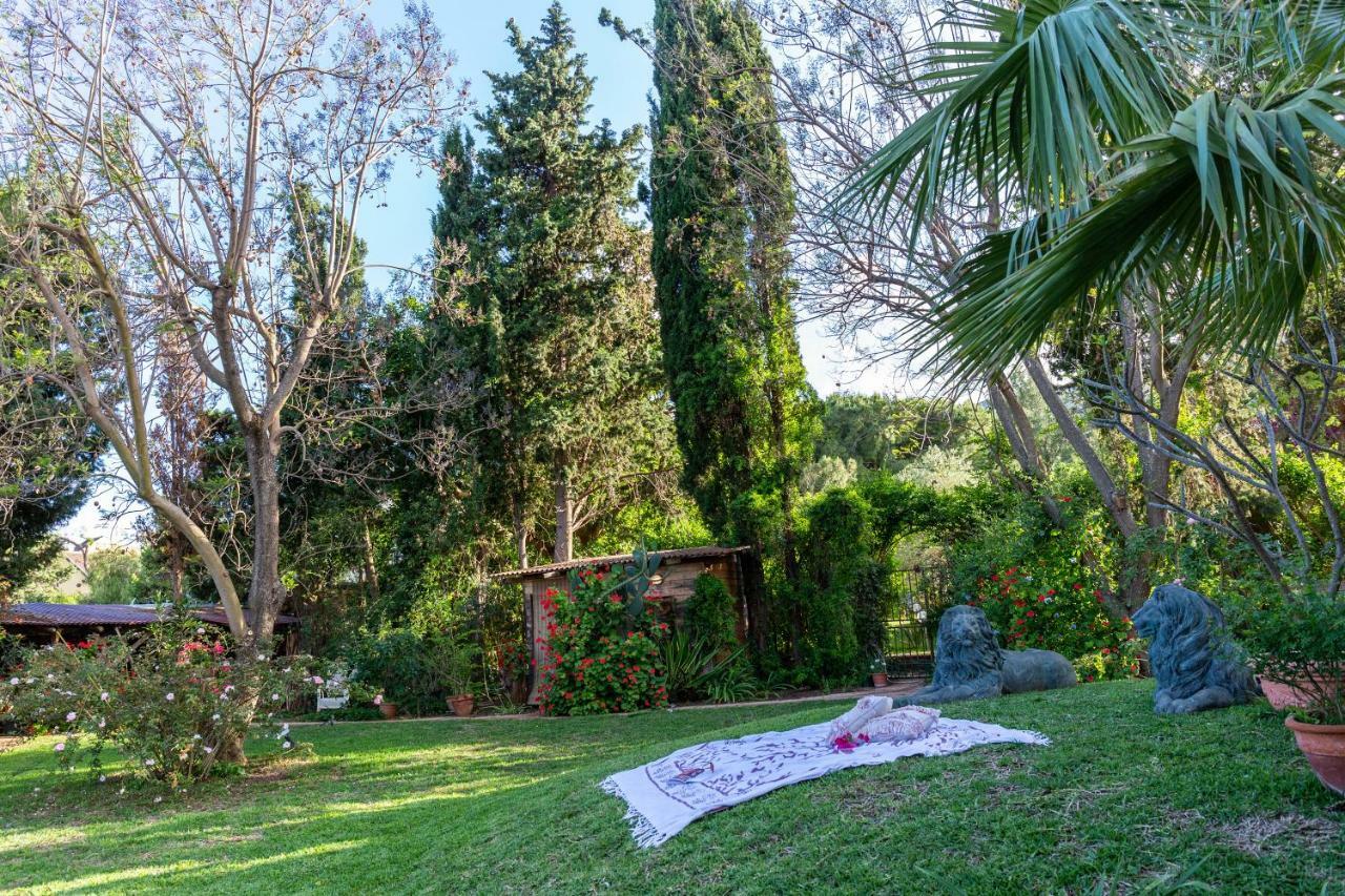 Il Giardino Di Michela By Domusicily Villa Mondello Eksteriør bilde